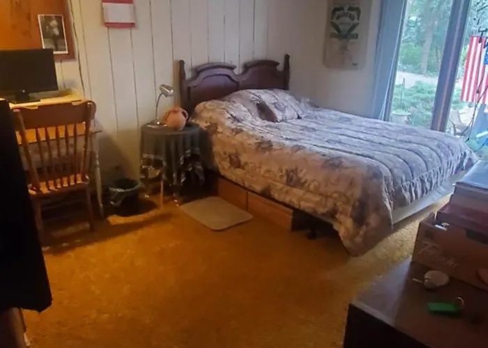 A Stay In The Woods