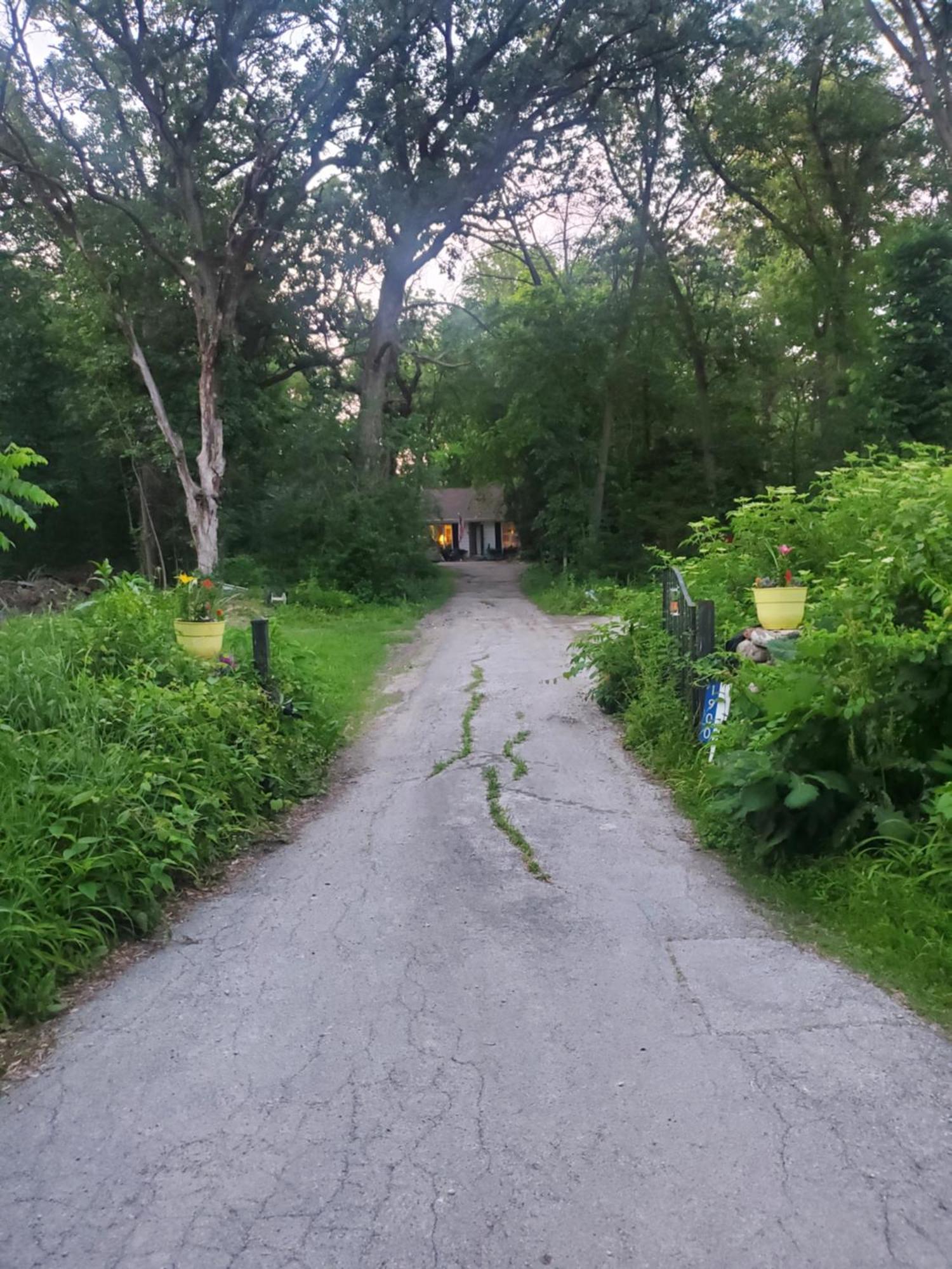 A In The Woods